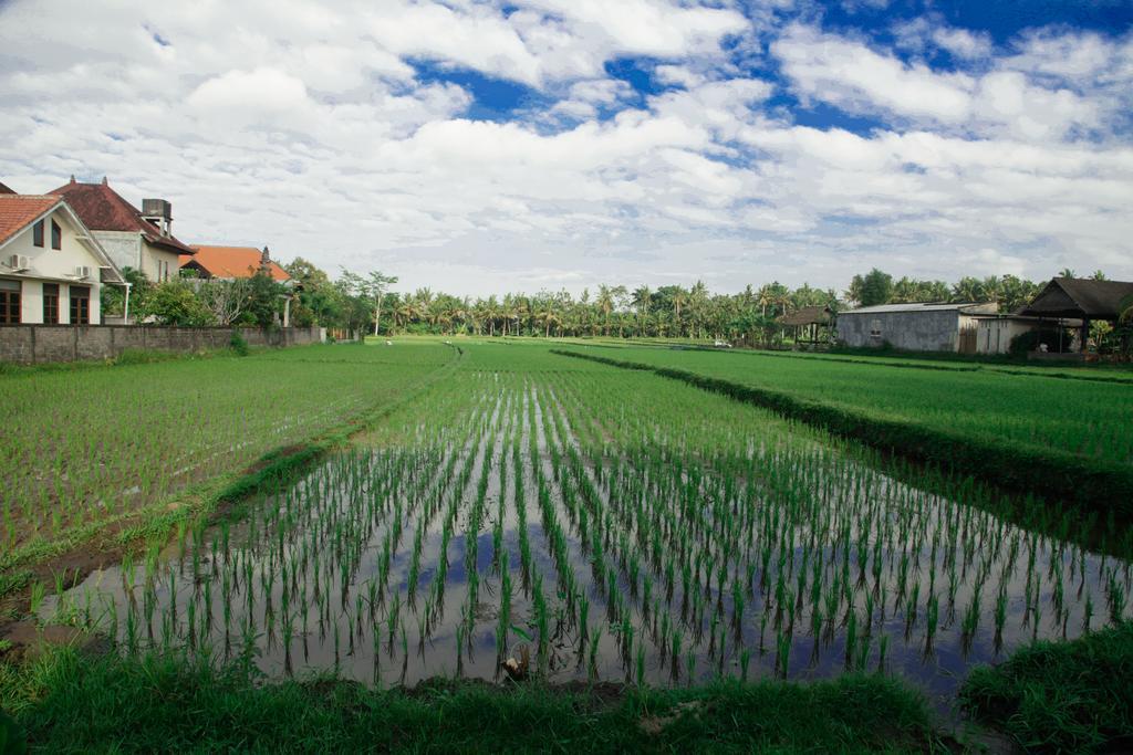 Canang Sari House 우붓 외부 사진